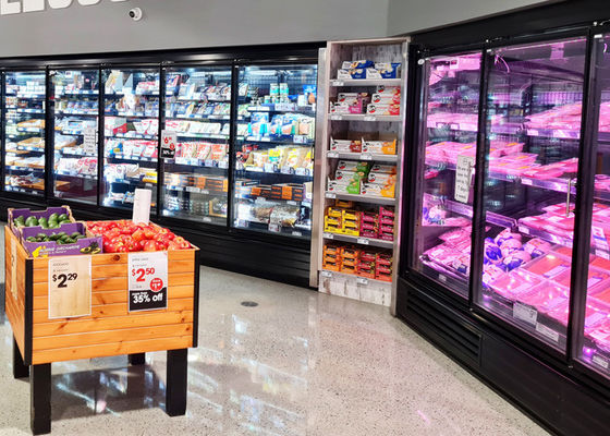 Temperatura de la puerta del supermercado baja del congelador de cristal vertical de la exhibición