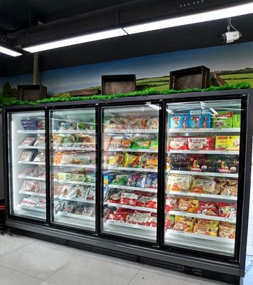Congelador de cristal comercial autónomo de la puerta