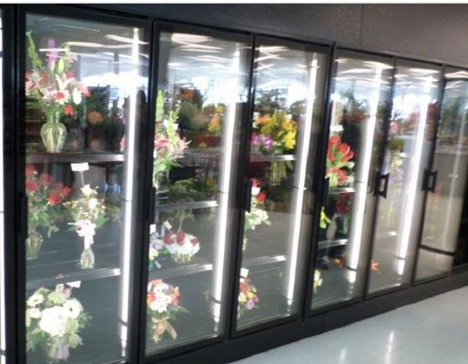 El paseo de la exhibición floral en refrigeradores camina en acero coloreado el refrigerador de cristal de la puerta