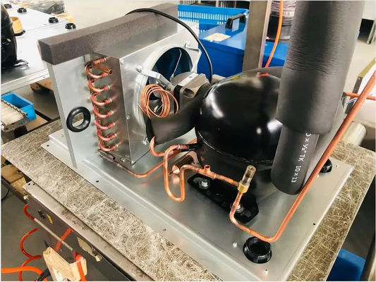 Buffet autolimpiador de los mariscos de la Caída-prueba de la máquina de hielo del cubo de Sk-81b